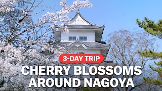 Cherry Blossoms around Nagoya | japan-guide.com