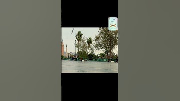 سورة السجدة بصوت جميل للمقرئ محمود الشحات انور #القرآن #اكسبلور #المصحف #سورة #تلاوة