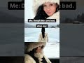 Even cybersecurity girls have our basic b**** side. Don't mind me. #ai #snowtrend #meitu #snowai