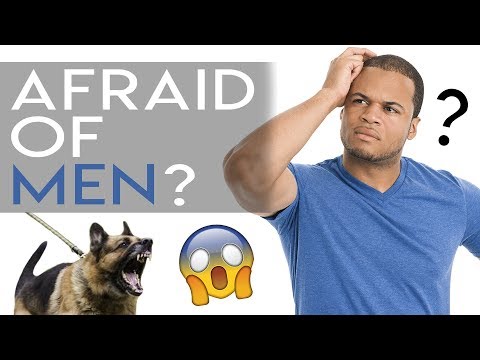 Video: Psi, ki sovražijo moške