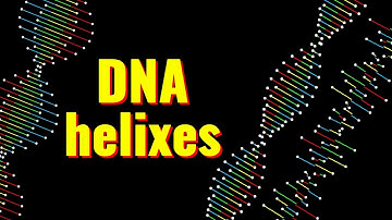 DNA | Helixes