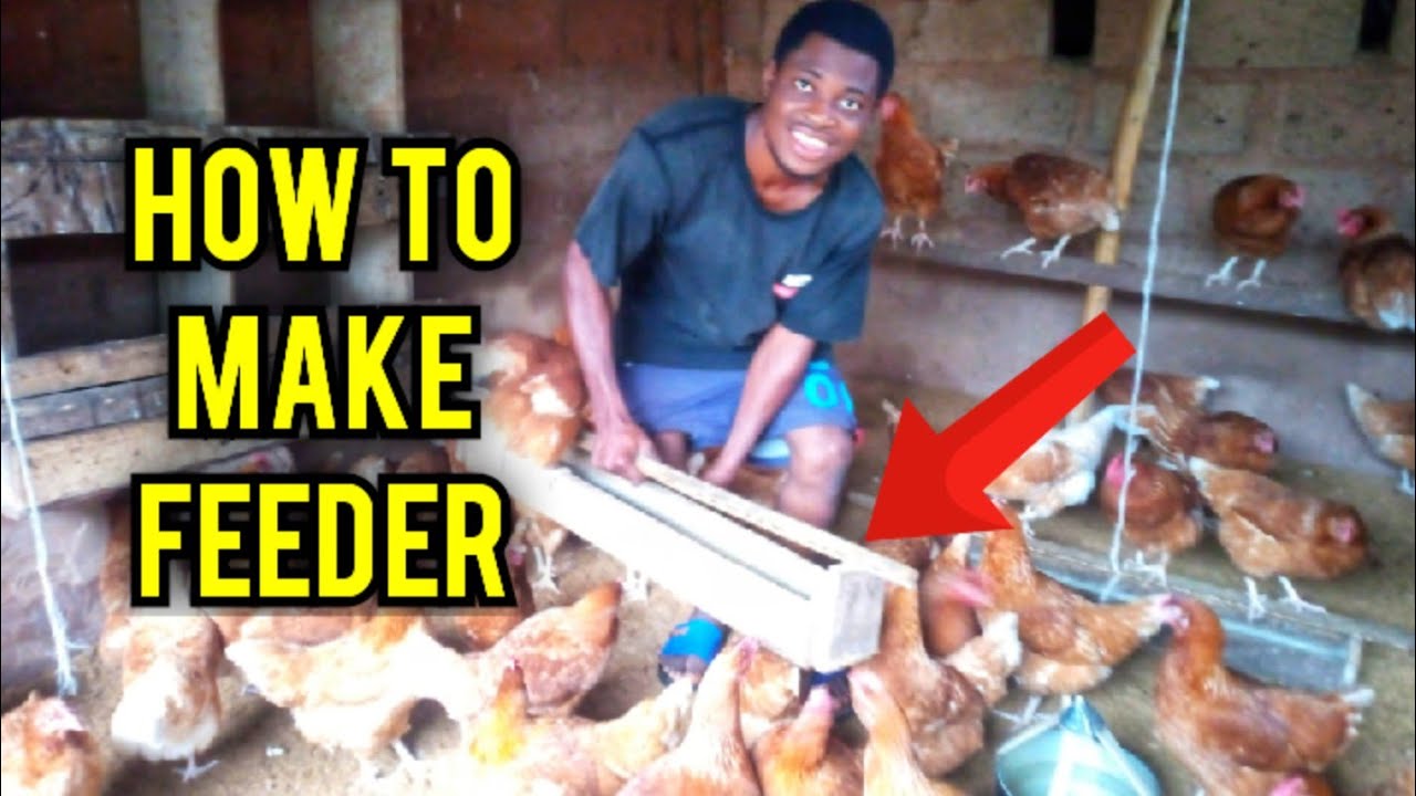 How to make chicken feeder | chicken farming. - YouTube