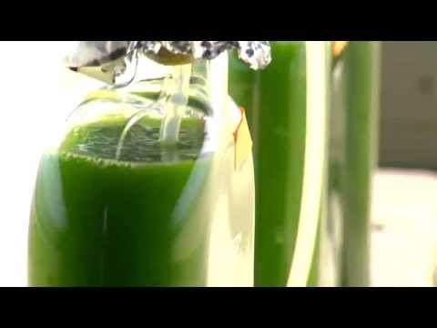 Energy 101 | Algae-to-Fuels
