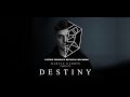 Nation michael   martin garrix  destiny official