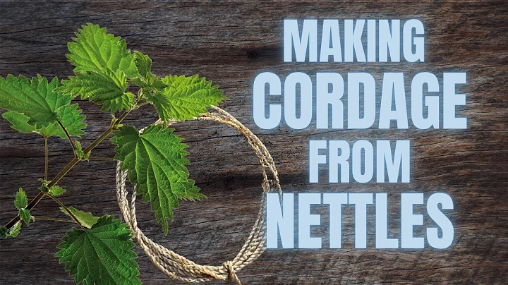 MAKING CORDAGE FROM STINGING NETTLES | Primitive Skills Tutorial