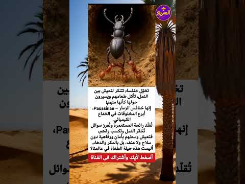 سبحان الخالق العظيم معلومات معلومه علي الماشي معلومات مفيدة معلومات عامة سبحان الخالق العظيم