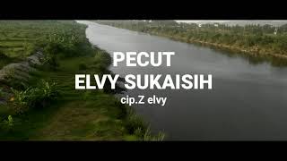 PECUT. ELVY SUKAISIH cip.Z elvy