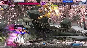 jamie-divekick-hitbox.mp4