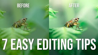 7 easy macro editing tips for beginners or experts (Lightroom tutorial)