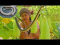 Life of Farming Catch Snake and Cooking Snake Soup with Gourd and Milk in my Farm