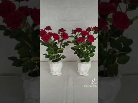 Кустовые розы из