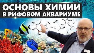 ОСНОВЫ ХИМИИ В РИФОВОМ АКВАРИУМЕ. Лу Экус: 