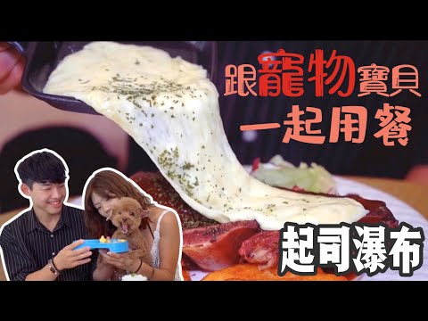 【台中】 寵物餐廳，起司瀑布上場「我在x豐樂」跟寵物一起大口吃飯！！ ｜ 小象愛出門