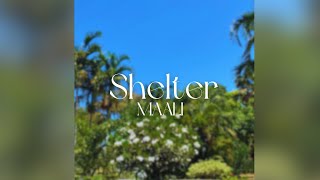 maali - Shelter