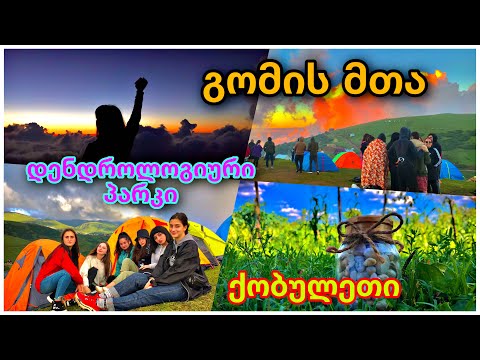 გომის მთის ტური, დენდროლოგიური პარკი, ქობულეთი - Host In Georgia