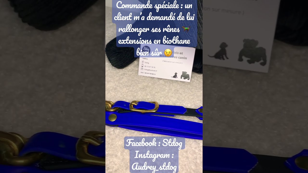 Rênes Biothane Bourguignonnes 1/2 – Couleur Rouge (occasion)