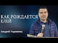 Как рождается елей│                                                                  Андрей Украинец