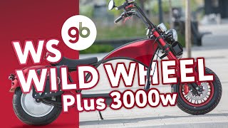 видео: CITYCOCO WS-WILD WHEEL PLUS 3000W - тренд 2020 года среди СитиКоко. Быстрый и красивый электрочоппер картинка: CITYCOCO WS-WILD WHEEL PLUS 3000W - тренд 2020 года среди СитиКоко. Быстрый и красивый электрочоппер