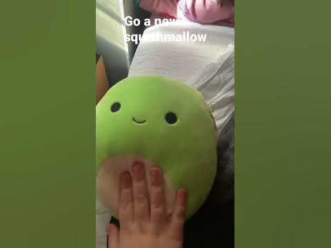 Got new squishmallow ( proof it is a real squishmallow ) - YouTube