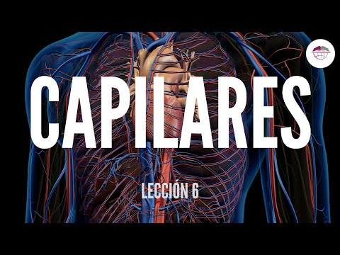 Vídeo: Función De Los Capilares: Definición, Estructura, Tipos Y Condiciones