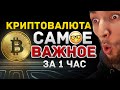 КРИПТОВАЛЮТА И ИНВЕСТИРОВАНИЕ ЗА 1 ЧАС - КАК ВЫБИРАТЬ ПРОЕКТЫ ДЛЯ ПОКУПОК? БИТКОИН АЛЬТКОИНЫ BINANCE