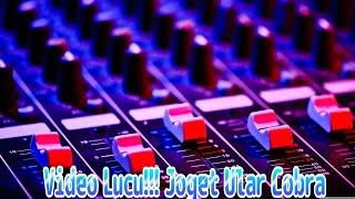 video lucu!! joget ular cobra