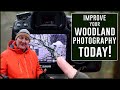 Improve your Woodland Photography today 2 GREAT IDEAS!