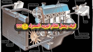 كيف يعمل نظام التبريد في محرك السيارة|Car engine cooling systeme