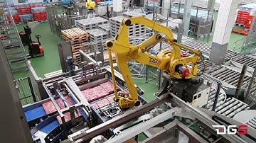 DGS Processing Solutions - Depalletizing / Palletizing Frozen blocks