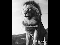 حكمه وعجبني وابويا قلهالي اللي يشوف نفسو عليك حالات واتس فخامه