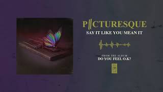 Video thumbnail of "Picturesque "Say It Like You Mean It""