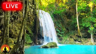 🔴 Relaxing Piano Music 24/7, Sleep Music, Study Music, Mediation Music, Relaxing Music