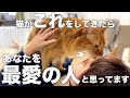 猫が最愛の人だと思っている飼い主に見せる行動