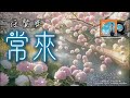 常來 任賢齊 歡迎點歌 卡拉OK字幕 動態歌詞 常來 任賢齊 歡迎點歌 卡拉OK字幕 動態歌詞