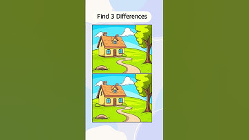 ONLY people with good eyes can find the differences!! #481