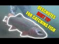 Deschutes River Fly Fishing - How to Catch Big Trout - Tips for Catching Big Trout on the Deschutes