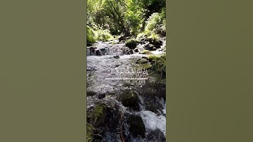 دقيقة من وقتك واستمع  لاية من سورة لقمان #foryou #Quran #forever #قرآن_كريم  #محمد_رسول_الله #quran