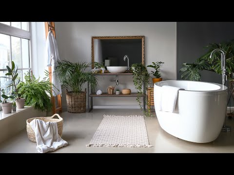 Сам Себе Дизайнер: Озеленение ванной комнаты