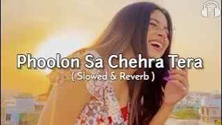 Phoolon Sa Chehra Tera - Slowed   Reverb | Udit Narayan | 90s hindi Song Lofi Version