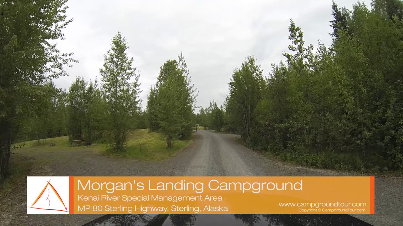 Escape to Tranquility: Your Guide to Morgans Landing State Recreation Area