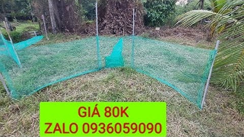 Bán dớn bắt cá, bán dớn chặn sông, bán xăm bắt cá, bán lú bắt cá. zalo 0936059090.