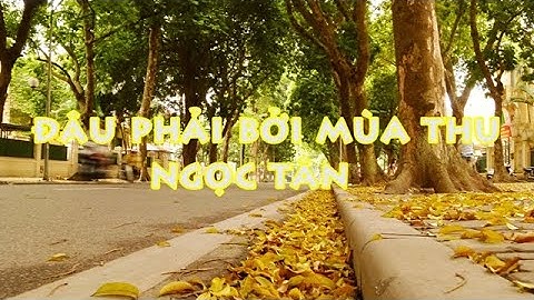 ĐÂU PHẢI BỞI MÙA THU  -  NGỌC TÂN