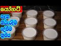 ය ගට හදන න ව රද ම ල ස ම ක රමය Yoghurt Recipe In Sinhala
