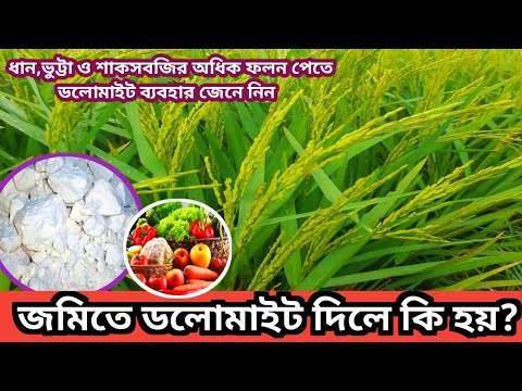 ভিডিও: ডলোমাইট সাধারণত কোথায় পাওয়া যায়?