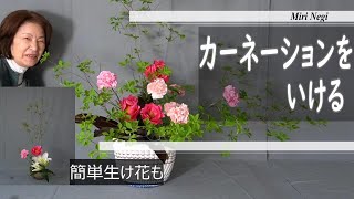 【生け花】【簡単生け花】後半_カーネーションをいける_Sogetsu Ikebana