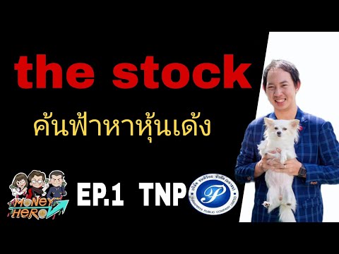 TNP หุ้นเล็กแต่ใจใหญ่ The Stock Ep1 | Money Hero