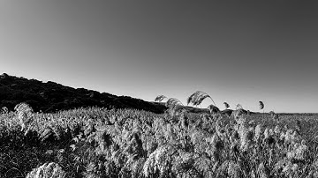 The Pernicious P’s: Four Cultural Assumptions Worth Questioning