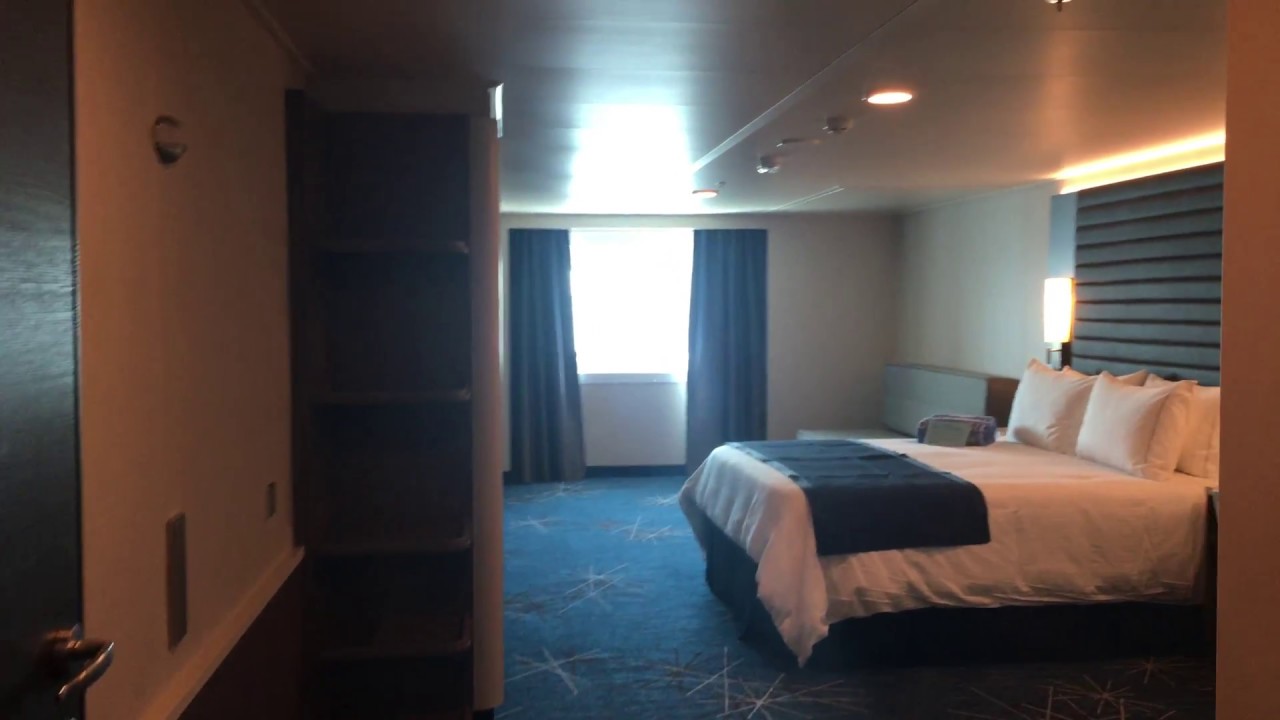 Accessible Oceanview Cabin Category O1 On Norwegian Bliss From Norwegian Cruise Line