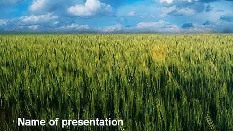 Grain PowerPoint Template by PoweredTemplate.com
