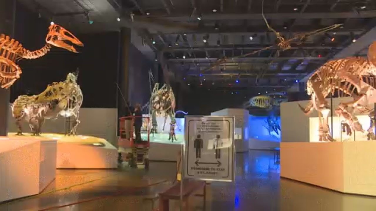 natural science museum virtual tour